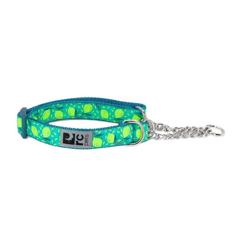 RC Pets Collar de Entrenamiento Martingale de 3/4 Pulgadas, pequeño,