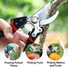 Pruning Scissors Professional Garden Pruning Shears, SK5 High Carbon Alloy