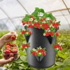 Wmzjnljy 1pc Strawberry Grow Bag 7 Gallon Strawberry Planter Durable
