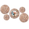 Wesiti 5 Pcs Boho Mother of Pearl Mirror Wall Decor