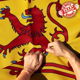 Anley Rip-Proof Double Sided 3-Ply Scotland Rampant Lion Flag 3x5 Foot