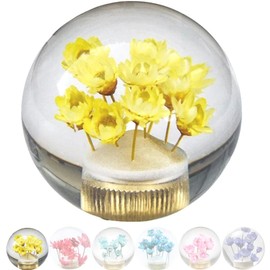 JINGLING Underwater Flower Gear Knob Flower in Bubble Water Stick AT MT Universal Transparent Ball Gear Lever Head Car Parts with 3 Types of Adapters (Yellow)