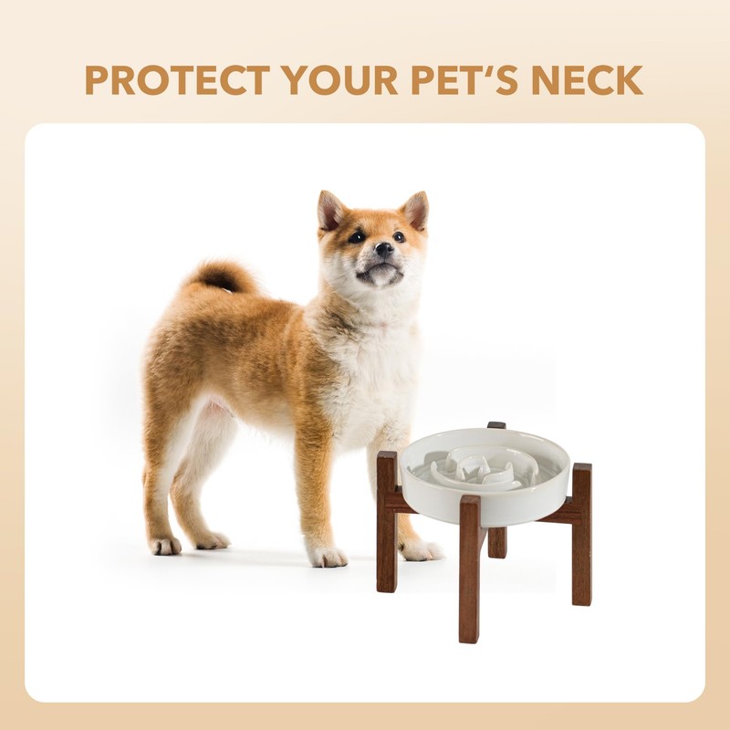 Havniva Ceramic 1.2 Cup Raised Slow Feeder Dog Bowl Set,