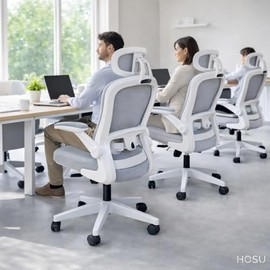 HOSU Silla de Escritorio, Silla de Oficina Ergonómica con Cabecera y Soporte Lumbar Ajustable Cojín de Asiento Grueso Silla Gamer Ejecutiva...        