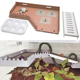 Anranmm Hermit Crab Accessories - Platform with Ladder and Food Dish, Hermit Crab Climbing Toys, Habitat Supplies and Tank Accessories for Reptiles, Hamsters, Geckos, Small Lizards