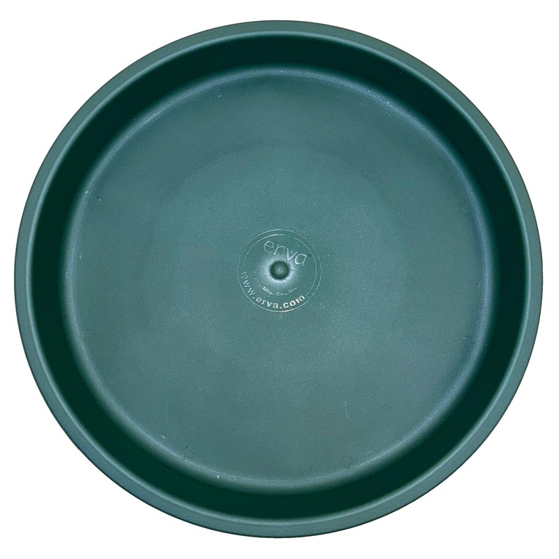 Ground Level Bird Bath - Floor Standing Bird Bath for