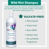 Organic Excellence Mint Shampoo, 16 Ounce