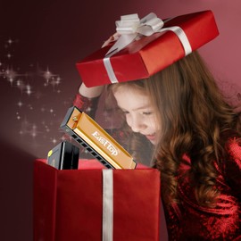 East top Blues Harmonica, Diatonic Harmonica Key of C 10 Holes 20 Tones Mouth Organ blues harp harmonica For Adults, Kids, Beginners, Professionals and Students (T10-4-Gold), as a gift