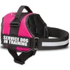Service Dog in Training Vest with Hook and Loop Straps