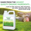Organic Liquid Lawn & Turf Food - Quickly Rejuvenates Lawn