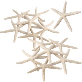 PPCLION 12 PCS Natural Starfish 2-3" for Crafts Making Beach Theme Party Wedding Decoration, Home Wall Decor, Christmas Ornaments
