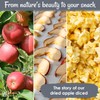 Oh! Nuts Dried Apple - 1 lb - Dried Fruit