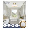 kudos White and Gold Ceiling Light Fixture 2 Pack, LED