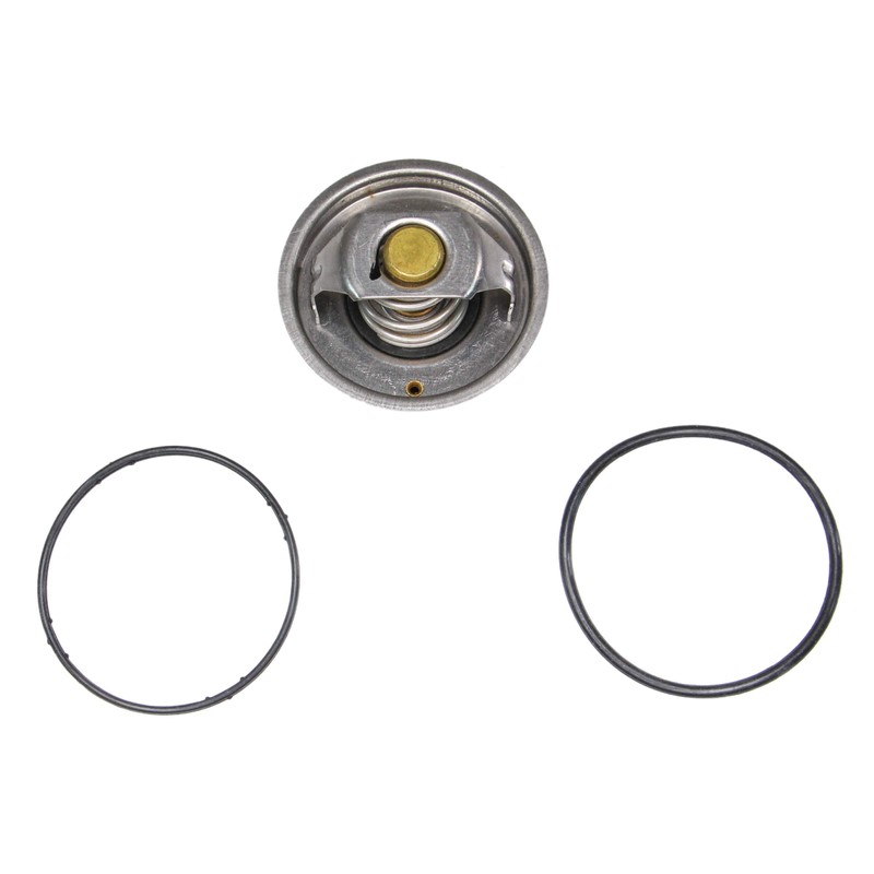 Rein CTI0002 Thermostat Insert 80C