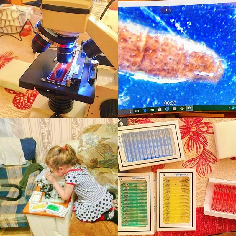 JZK 48 x Plastic Microscopes Slides for Children with Animals,