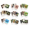 Montessori Frog Life Cycle Flash Cards, Plastic Insects Tadpole to