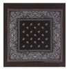 Black Bandana - Paisley