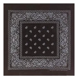 Black Bandana - Paisley