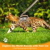 SALFSE Tactical Cat Harness and Leash Set for Walking Escape