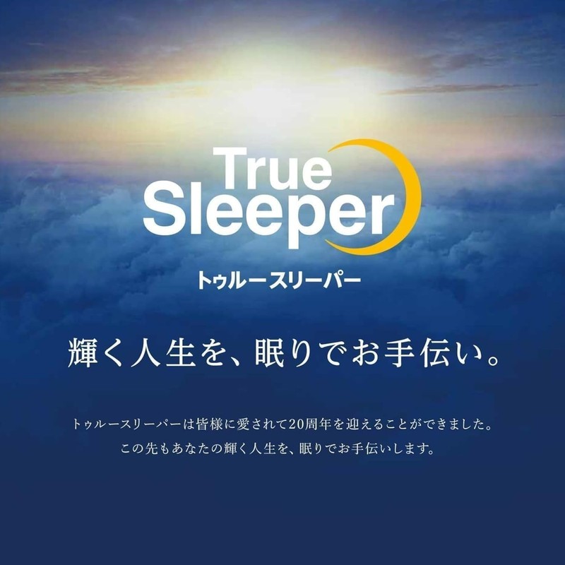Shop Japan True Sleeper Original Cover, Single, Blue, Mattress Cover,