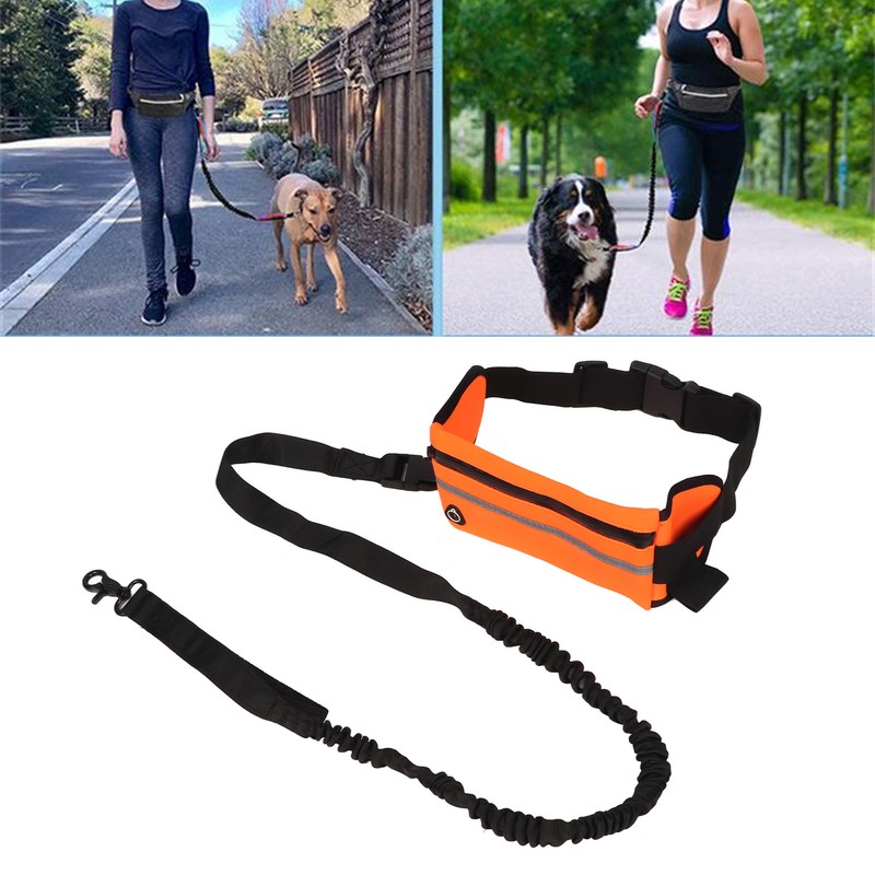 Hands Free Dog Leash Shock Absorption Reflective Dog Running Leash