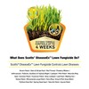 Scotts DiseaseEx Lawn Fungicide, Fungus Control, Fast Acting, Treats up