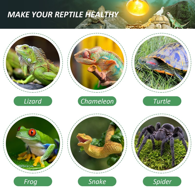 MIXJOY 100W Reptile Heat Lamp Bulb Full Spectrum UVA UVB
