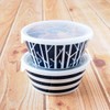 Minorutouki Small Pottery Plantary Forest S Lightweight Standing Pack Pot,