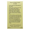 St Francis of Assisi Holy Card Set of 10