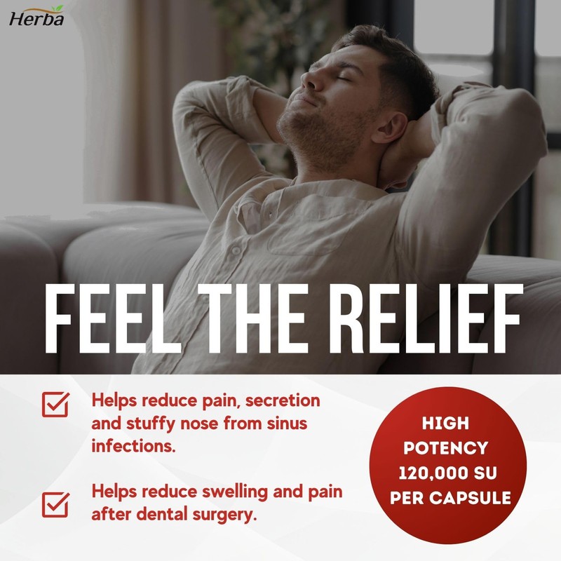 Herba Serrapeptase 120,000 SU - 90 Vegetable Capsules | High