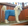 Mozzie Pants MOPBLUE Original Dog Pants, Medium