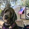 Removable RV Window Awning- Detachable for Slide-Out 24" Max -
