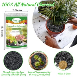Legigo 6QT All Natural Horticultural Charcoal- Activated Hardwood Plant Charcoal for Soil Amendment, Conditioning Bonsai Soil, Succulent Soil, Terrarium Supplies, Indoor Plant Potting Soil