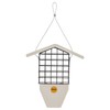 Birds Choice GSTP Green Solutions Suet Feeder