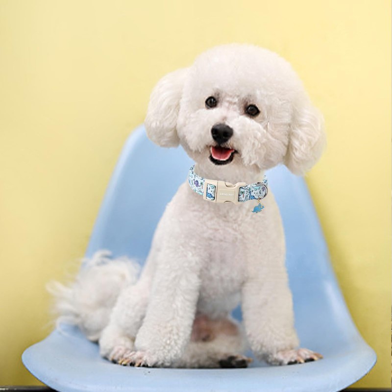 ARING PET Dog Collar, Cute Dinosaur Dog Collar with Quick