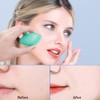 SonKu Sunscreen Applicator, Brush Set with Protective Caps, Sunscreen Applicator