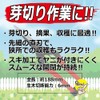 A Perfect Gift 吉 Garden Buds Cutting Scissor Sack SGP – 45 