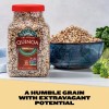 RiceSelect Tri Color Quinoa Blend 22 Ounce Gluten Free Non