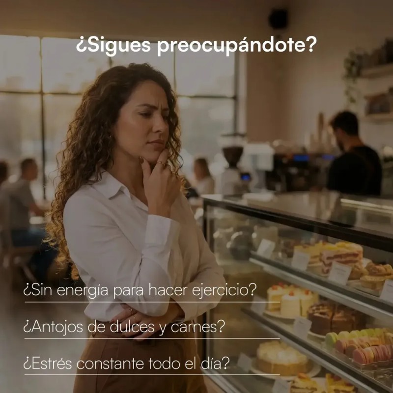 Zesty Metabólica Protein Coffee Café Arábica 100% Puro Cafe Latte