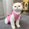 KASESSS 2 Pcs Cat Recovery Suit, Cat Clothes After Surgery,