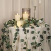 33 Ft Vine with Eucalyptus Leaf Lights Battery Operated, 8