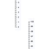uxcell Adhesive Backed Tape Measure 100cm Vertical Read Measuring Tape Stick on Workbench Ruler (White)