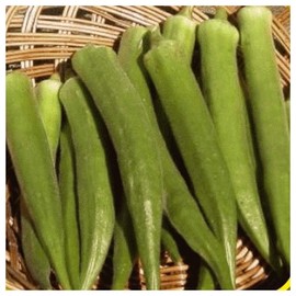 Everwilde Farms - 1 Lb Emerald Okra Seeds - Gold Vault