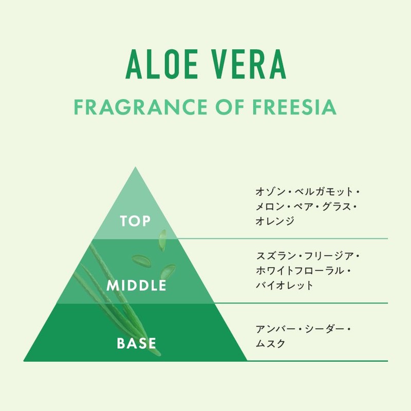 Joyco Body Scrub Aloe Vera, 7.1 oz (200 g)