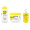 Yellow Repair Reparative Shampoo 500 & Mask 500 & Serum