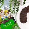 Girl Scout Thin Mints Cookies (32 per box)