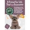 Living Nature French Bulldog Puppy, Realistic Soft Cuddly Dog Toy,