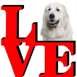 Great Pyrenees Love Park Cute Dog Fridge Refrigerator Car Magnet