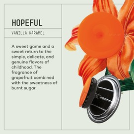 VAVANA Araba Klima Kokusu - Oto Kokusu 3'lü Set (HOPEFUL & ANGELIC & OPTIMISTIC)