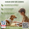 Empefly Premium Olivenholz Kauspielzeug (M) 100% natürliches, splitterfreies Kauholz,Robustes Hundespielzeug